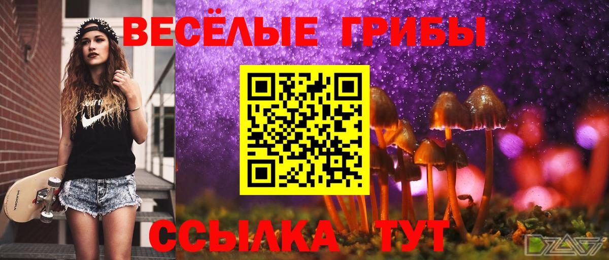 Галлюциногенные грибы мицелий Евпатория